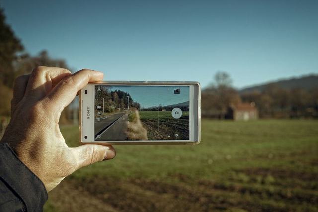 Panneau de métadonnées EXIF d'une photo ouvert dans un logiciel de catalogage
