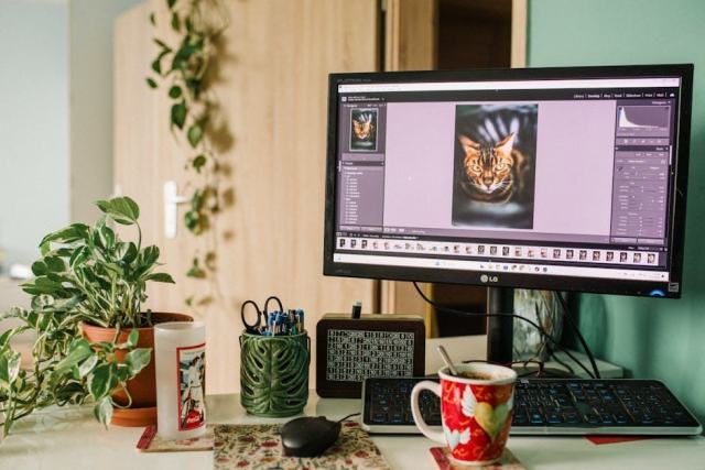 Retouche couleur : calibration d'écran et gestion des espaces colorimétriques